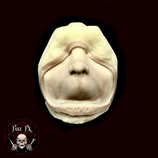 Who prosthetic nose
