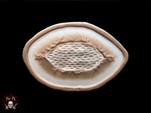 Skin Graft Prosthetic